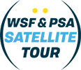 satellite h100