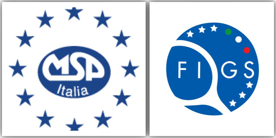 Incontro tra Figs ed MSP Italia